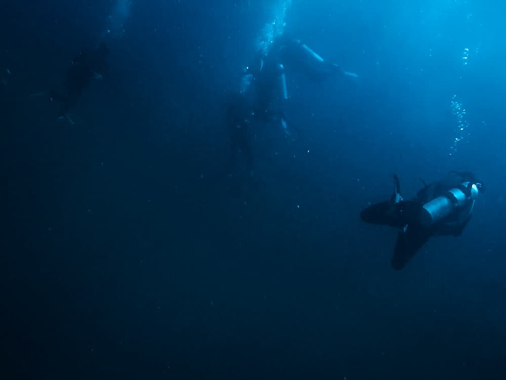 Der beste Tauchspot der Philippinen Malapascua