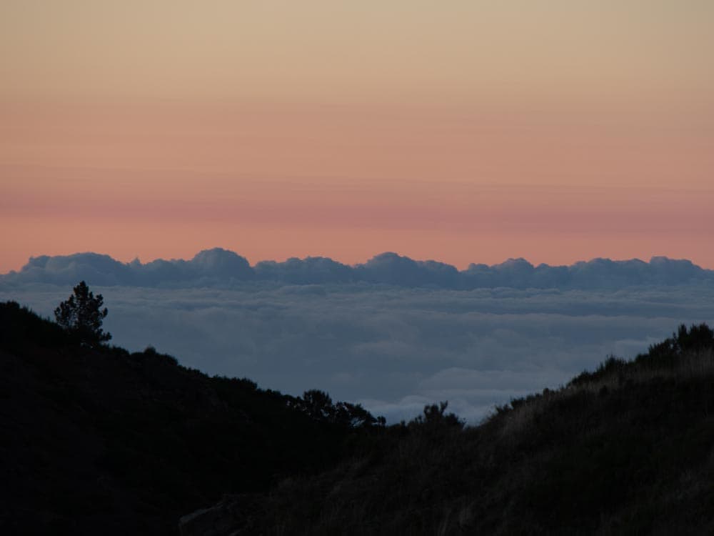Was kosten zwei Wochen Urlaub auf Madeira?