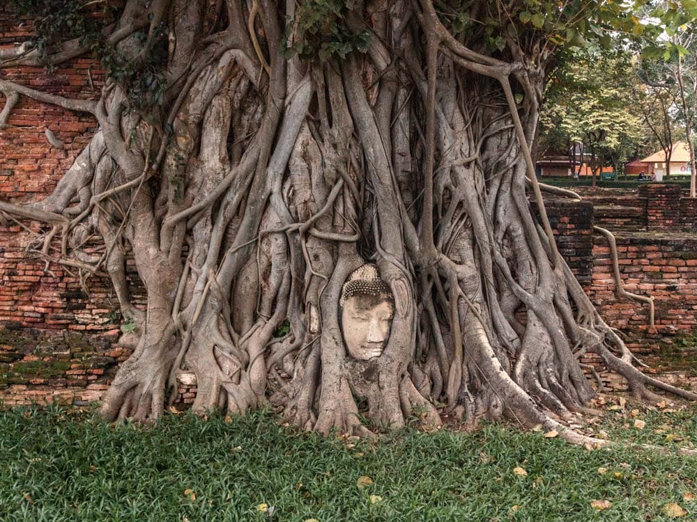 Auf Durchreise durch Ayutthaya, Thailand: Das musst du gesehen haben