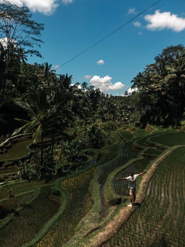 Tegalalang Rice Terrace: Entdecke die Reisterassen bei Ubud, Bali