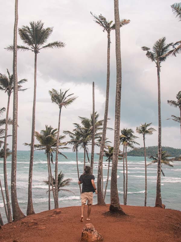 Mirissa, Sri Lanka: Tipps, Sehenswürdigkeiten & Reiseführer