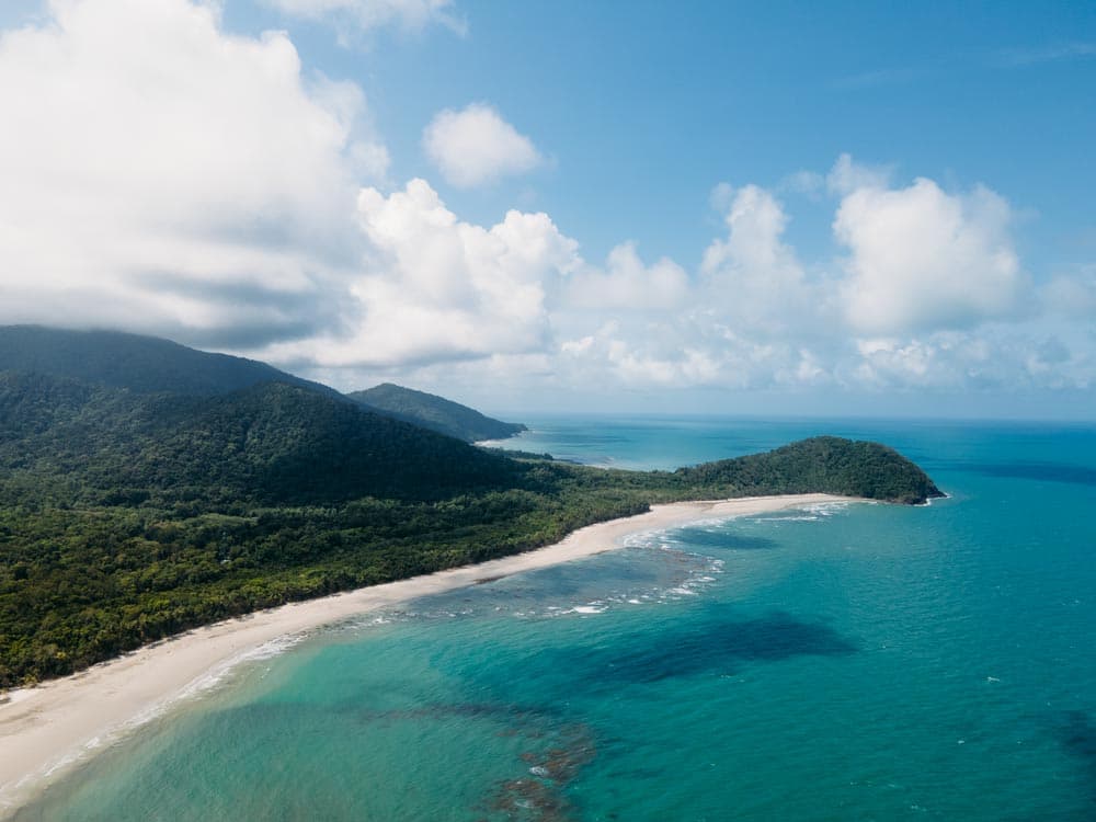 Der Daintree Rainforest: So erkundest du den ältesten Regenwald der Welt